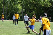 OTFL Gallery Image